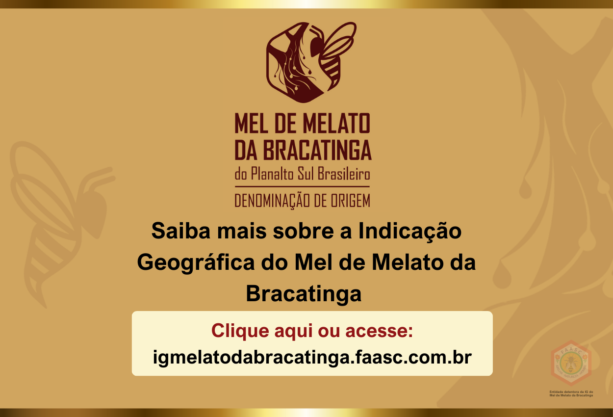 banner ig melato celular